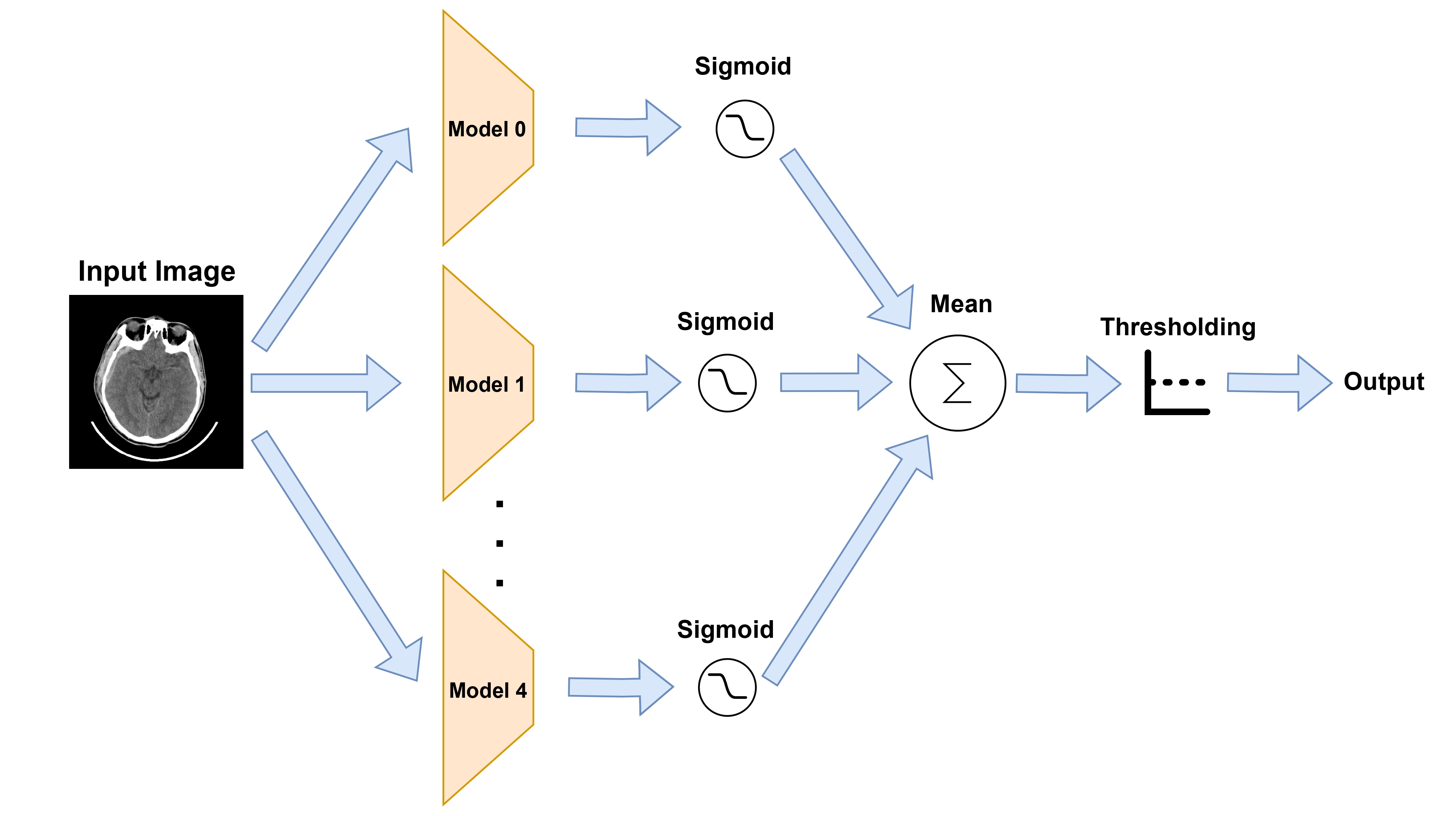 Grad-CAM Visualization